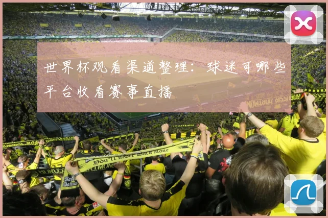 世界杯观看渠道整理:球迷可哪些平台收看赛事直播