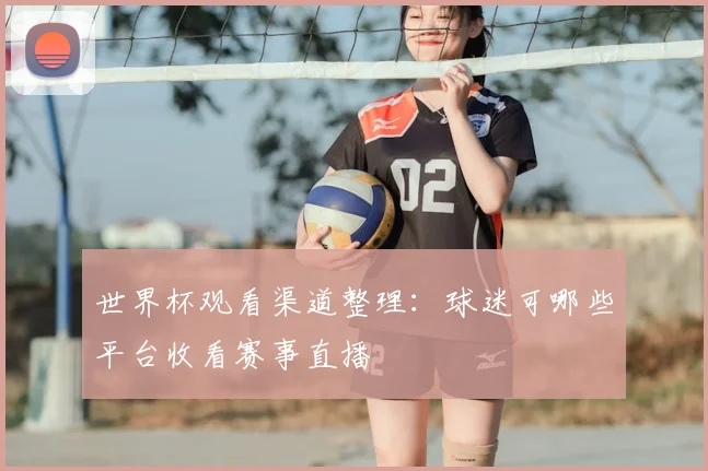 世界杯观看渠道整理:球迷可哪些平台收看赛事直播