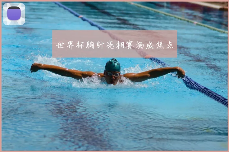 世界杯胸针亮相赛场成焦点