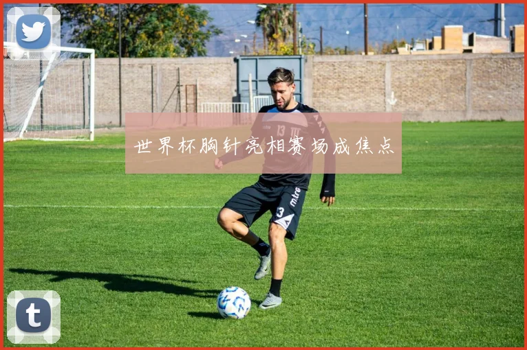 世界杯胸针亮相赛场成焦点