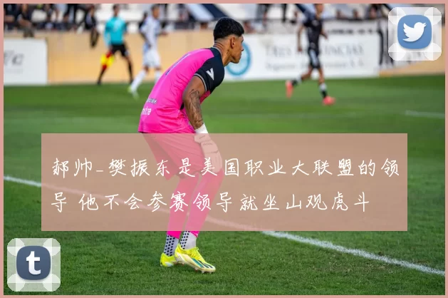 郝帅_樊振东是美国职业大联盟的领导 他不会参赛领导就坐山观虎斗