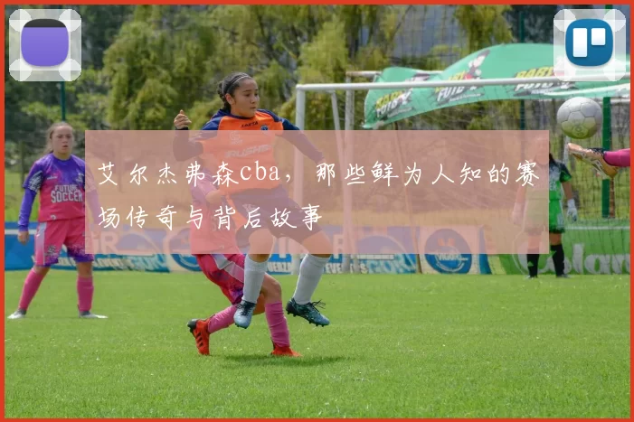 艾尔杰弗森cba，那些鲜为人知的赛场传奇与背后故事