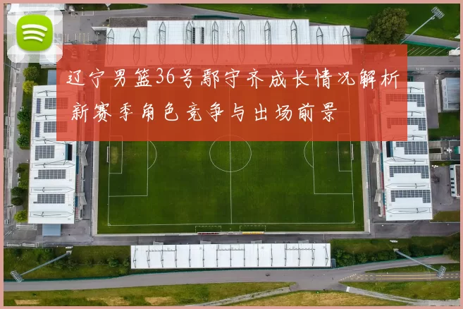 辽宁男篮36号鄢守齐成长情况解析 新赛季角色竞争与出场前景