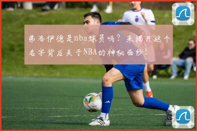 弗洛伊德是nba球员吗？来揭开这个名字背后关于NBA的神秘面纱！